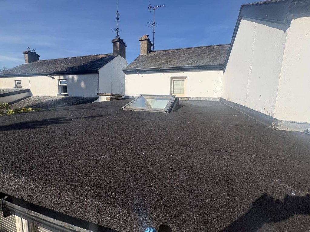 New Flat Roof Laois